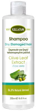 Verzorg Droog Haar Met Natuurlijke Shampoo