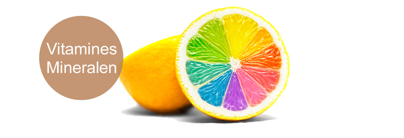 Het Verband Tussen Haaruitval en Vitamine B: Wat Moet Je Weten?
