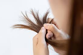 Op Natuurlijke Wijze Beschadigd Haar Herstellen: Tips en Tricks